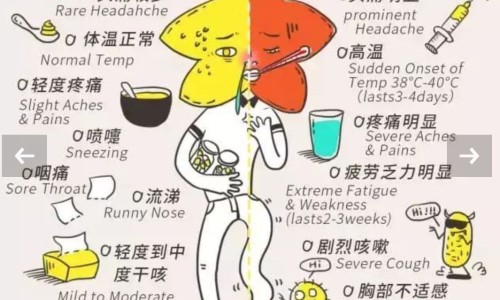 莫匹罗星口服中毒吗-莫匹罗星 哺乳期 崔网 :分享莫匹林罗星软膏喂奶了能用吗-莫匹罗星软膏母乳期可以用吗知识