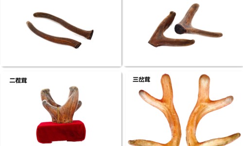 莫匹罗星促进愈合吗-莫匹罗星 哺乳期 崔网 :分享莫匹林罗星软膏喂奶了能用吗-莫匹罗星软膏母乳期可以用吗知识